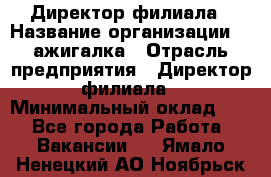 Директор филиала › Название организации ­ Zажигалка › Отрасль предприятия ­ Директор филиала › Минимальный оклад ­ 1 - Все города Работа » Вакансии   . Ямало-Ненецкий АО,Ноябрьск г.